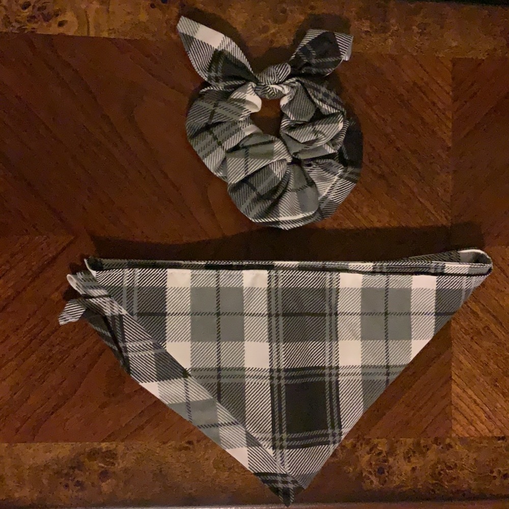 NWOT matching dog bandana and dog mom scrunchie